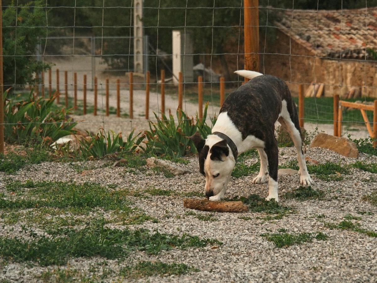 Masia La Clariana Castelltallat Dış mekan fotoğraf